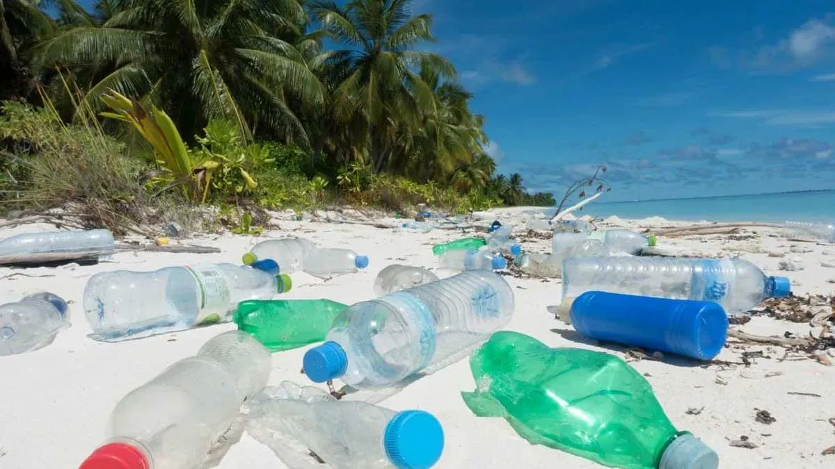 Plastik Atıklarını Azaltmanın Etkili Yolları: Çevre İçin