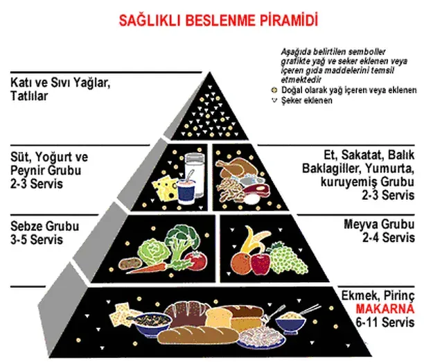 Beslenme ve Fitness: Sağlıklı Yaşamın 5 Temeli ile Enerji