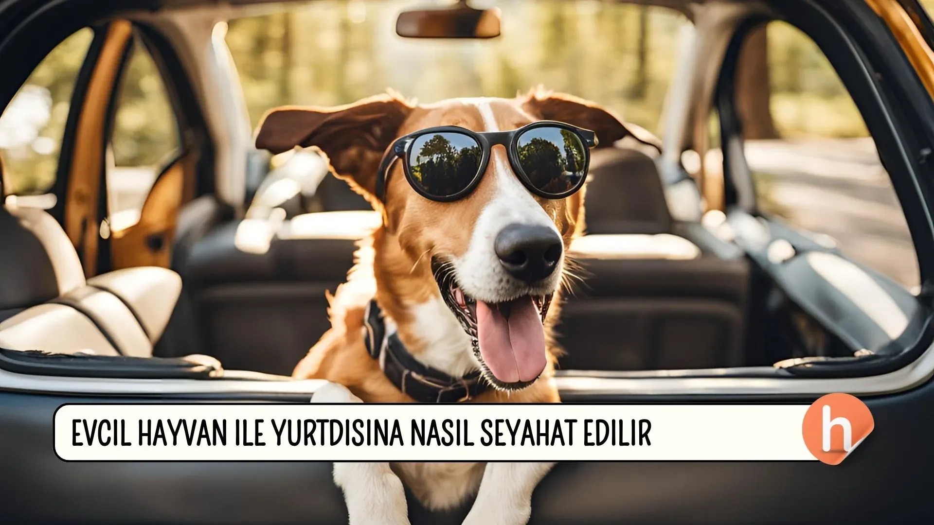 Nasıl Seyahat Edilir: Planlama ve Tasarruf Stratejileri