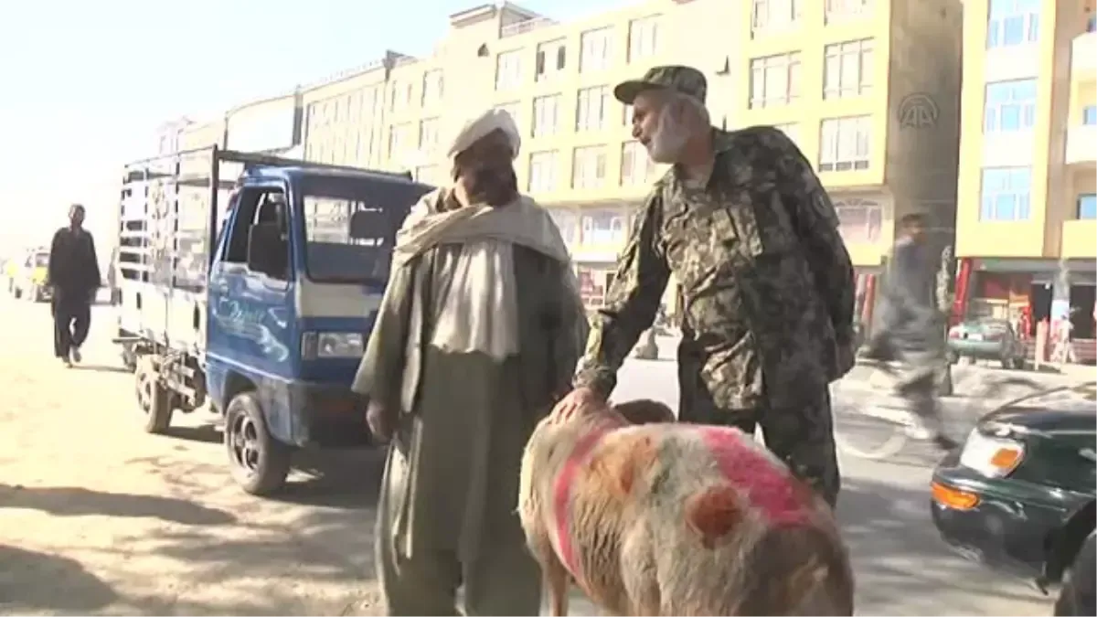 Kurban Bayramı Afganistan'da Binlerce Yetime Umut Oldu