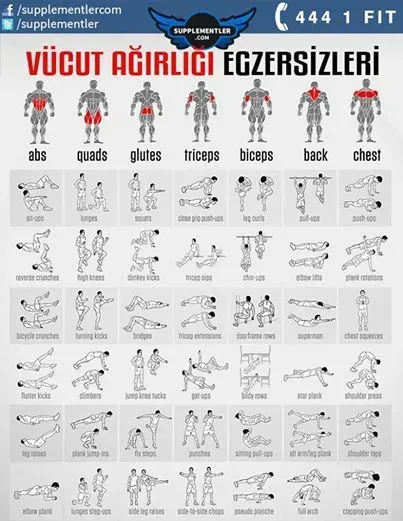 Erkekler İçin Fitness: Kas Yap, Yağ Yak, Hızlı Metabolizma