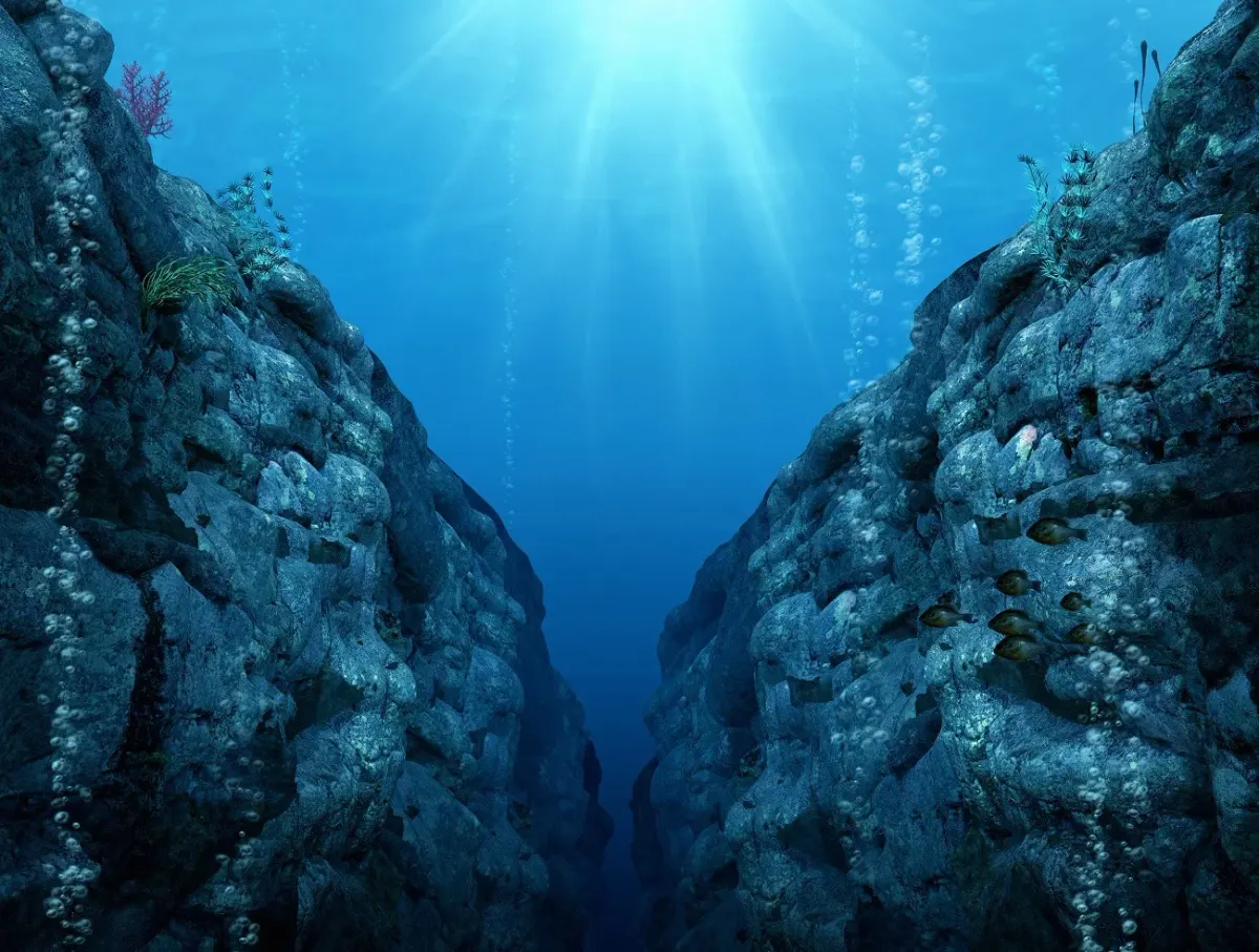 Deep-Sea Extreme Species: 5 Historic Discoveries Unveiled in the Mariana Trench Expedition