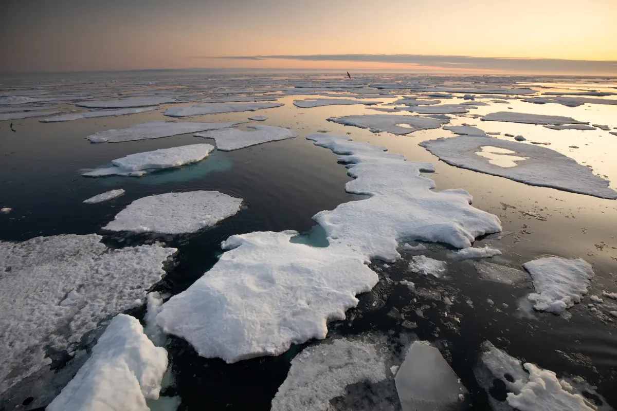 Accelerated Arctic Warming: 5 Stark Warnings From the Latest Asian Monsoon Study