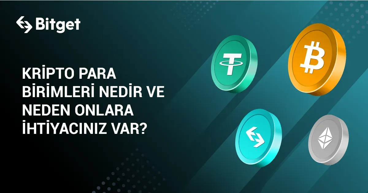 Kripto para nedir: Başlangıç Rehberi ve İlk Adımlar