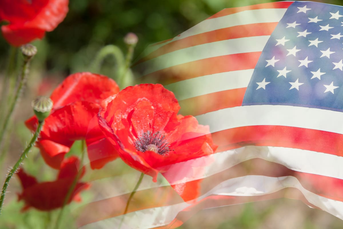 Flags And Poppies Designs For Memorial Day Prints