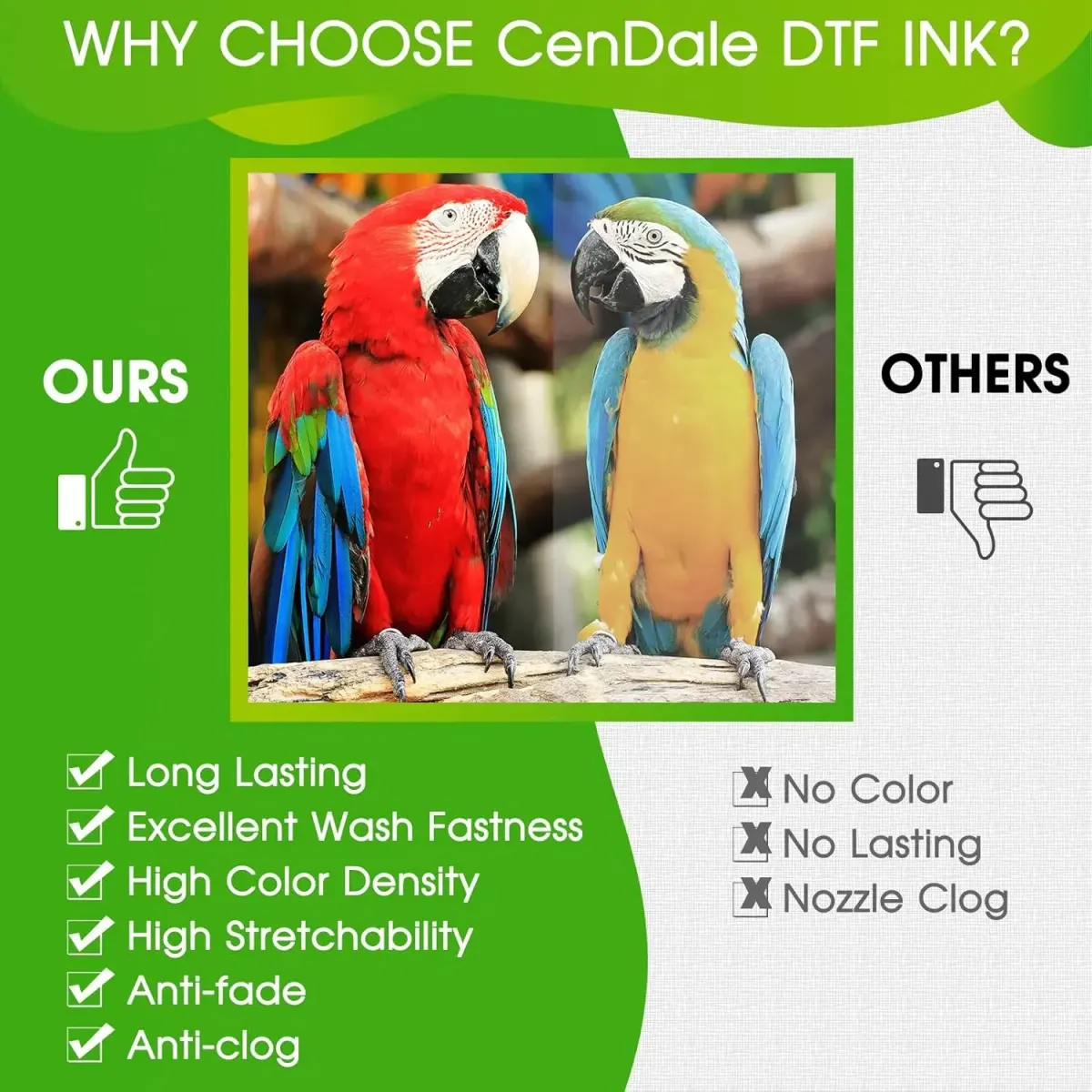 Florida DTF 101: Your Starter Guide to DTF Printing
