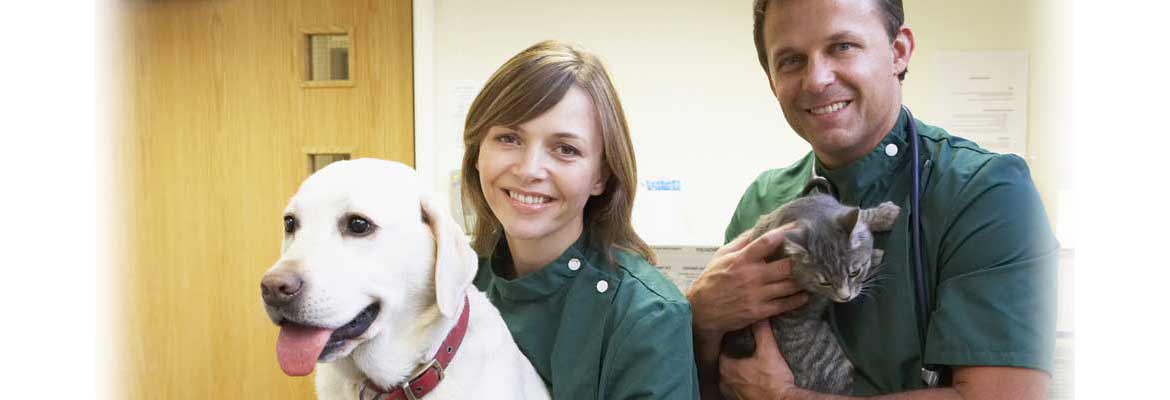 Best Nurse Transfers For Custom Healthcare Apparel