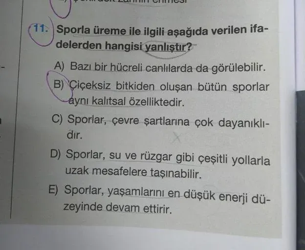 Sporla İlgili En Çok Sorulan Sorular: Kapsamlı Rehber