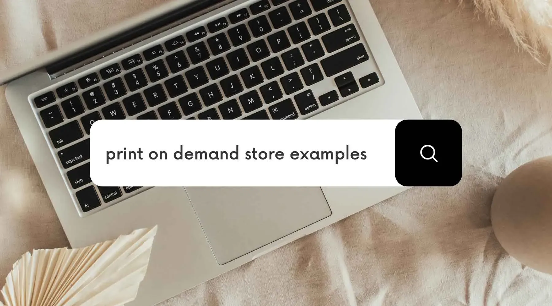 print on demand store case study: 6 months to success