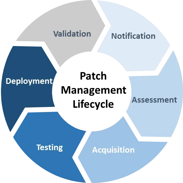 Patch Lifecycles: From Vulnerabilities to Verified Deployments