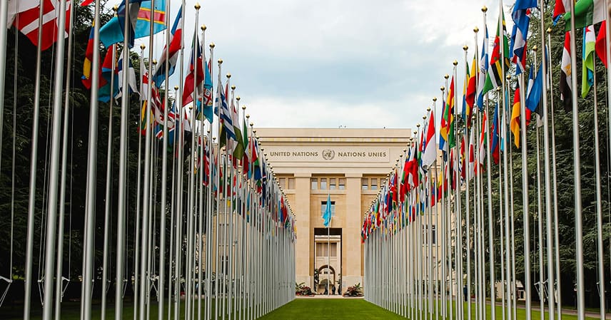 The Role of International Organizations in Crisis Management