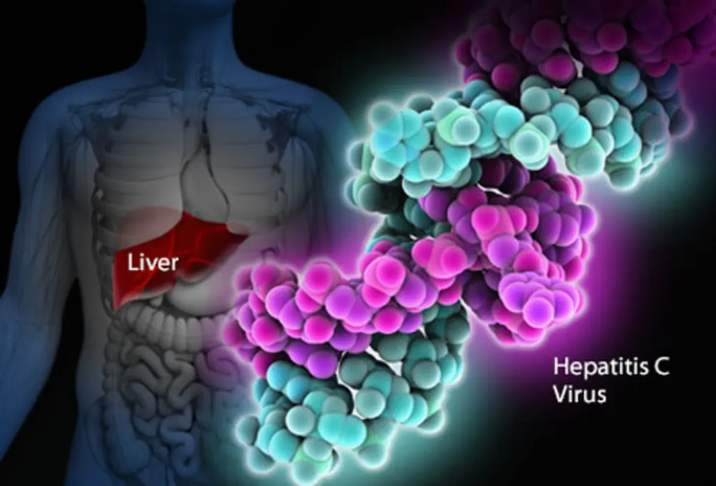 Hepatit C: Belirtileri ve Erken Tanının Önemi