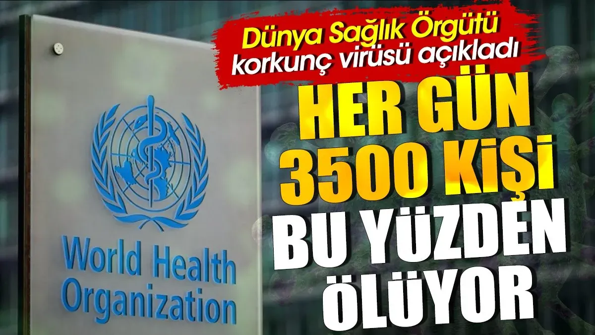 Dünya sağlık güncellemeleri ve ulaşım ile kültür etkileri