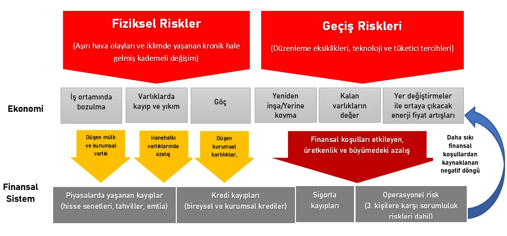 İklim Değişikliğinin Küresel Etkileri: Hangi Ülkeler Daha Fazla Risk Altında?