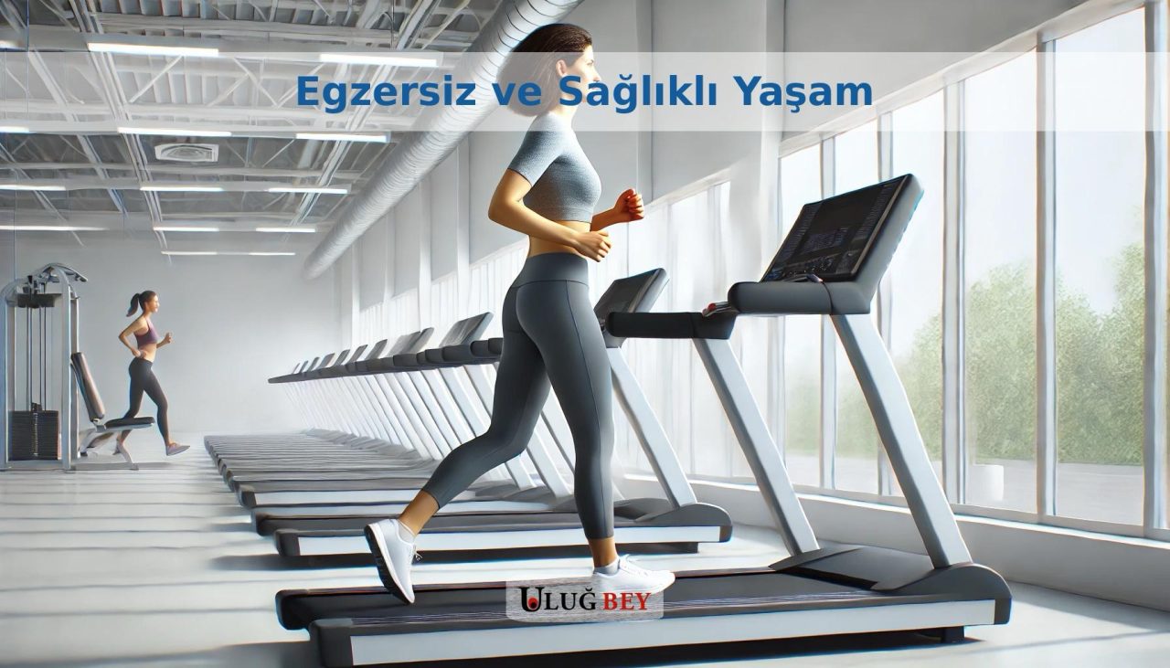 Egzersizin Beyin Sağlığı Üzerindeki Etkileri Araştırıldı
