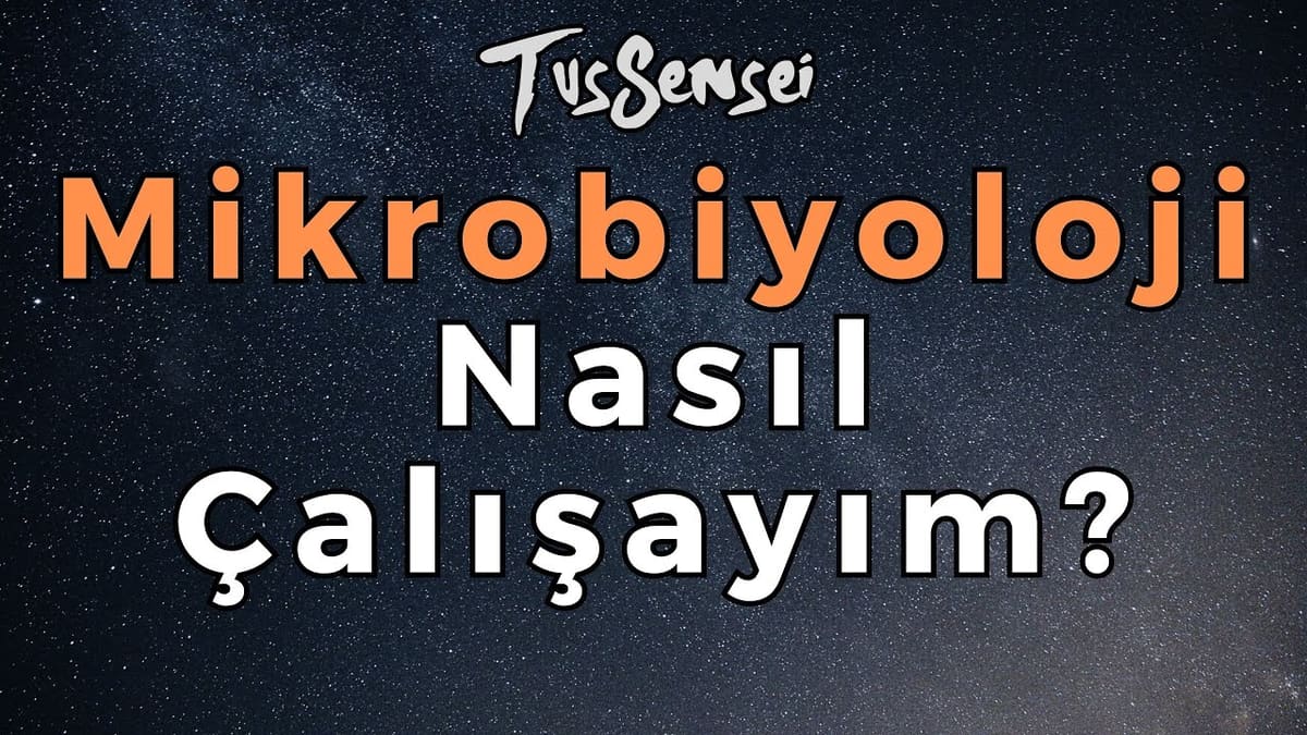 Mikrobiyom Araştırmaları Sağlığın Şifrelerini Çözüyor
