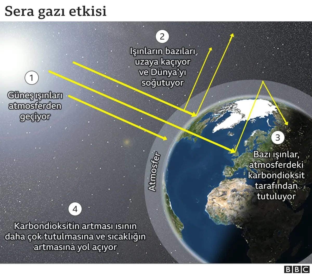 Küresel Isınmanın Etkileri: İklim Değişikliği ve Geleceğimiz