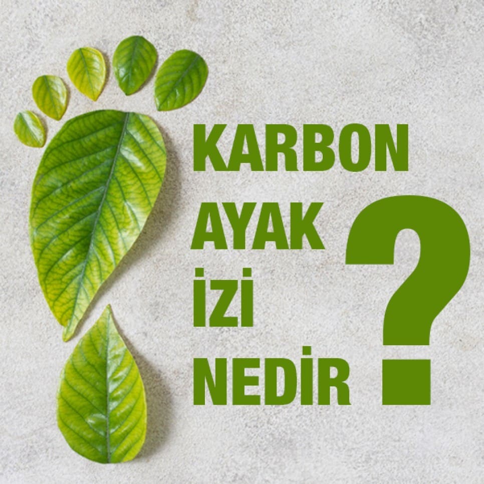 Karbon Ayak İzimizi Azaltmanın Yolları Ve Önemi