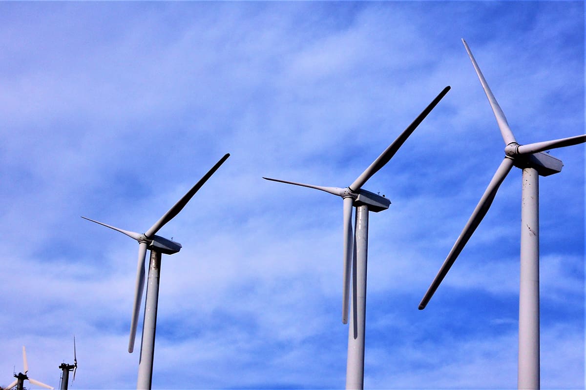 Türkiye’de Yeşil Enerji Yatırımları: 2024 Yılında Neler Bekleniyor?