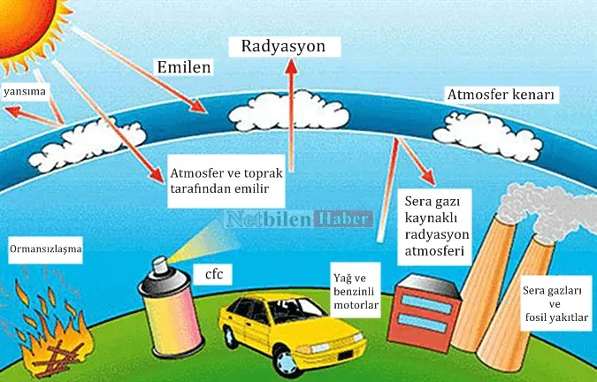 Küresel ısınma: Bilimsel bulgular ve uzman görüşleri