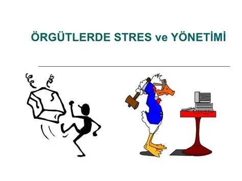 Saglik ve Stres Yonetimi: Gunluk Hayatta Uyum Saglamak