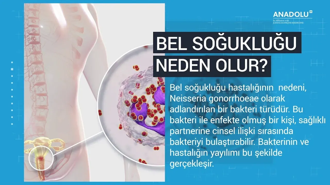 Bel Soğukluğu Aşısı ile Cinsel Sağlıkta Yeni Dönem