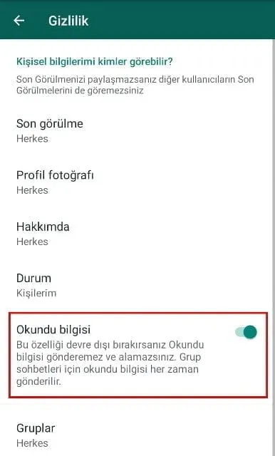 WhatsApp Üçüncü Mavi Tik Özelliğini Tanıttı