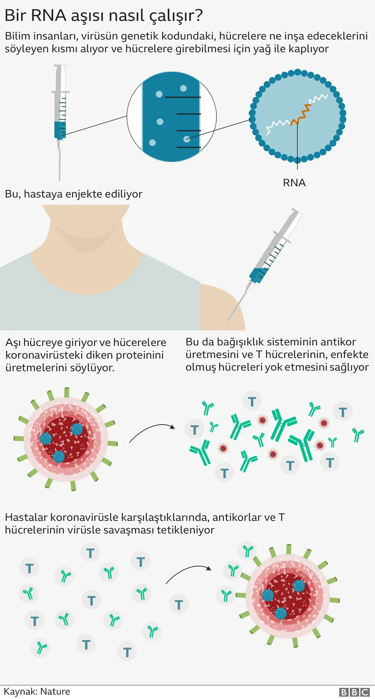 Covid-19 Aşısı Kalp Krizini Artırdı Mı?