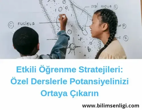 Çok Dilli Öğrenme İçin Etkili Eğitim Stratejileri: Başarı