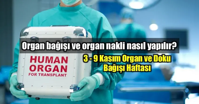 Organ Bağışı: Yeni Düzenlemelerle Süreç Kolaylaşıyor