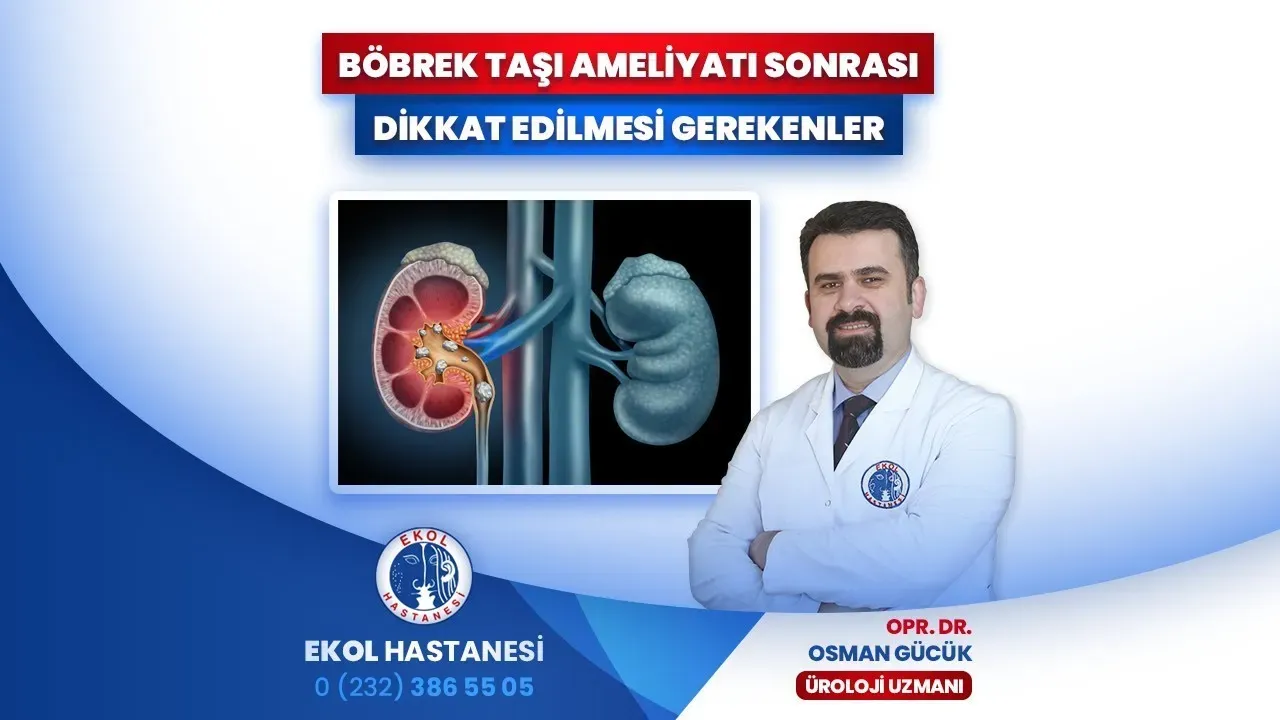 Tunceli Böbrek Ameliyatı ile Hastalar Yeniden Sağlığına Kavuştu