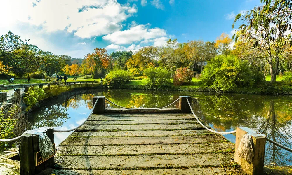 Atatürk Arboretumu: İstanbul'da Gezilecek Doğal Yerler