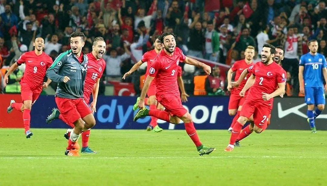 Milli Takımın Son Başarıları ve Gelecek Maçları