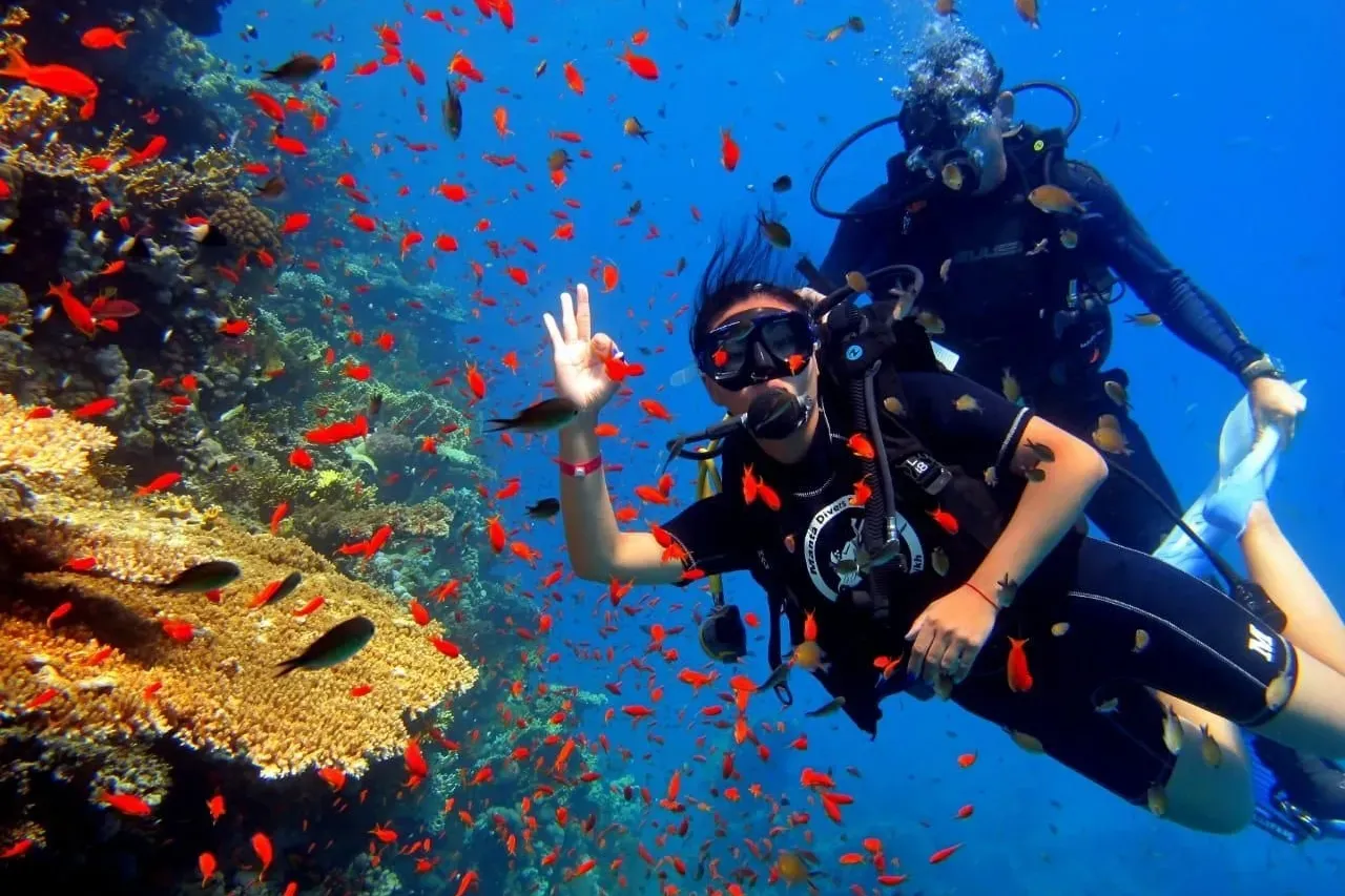 Sharm El Sheikh Dalış: Deniz Altı Güzellikleri ve Macera