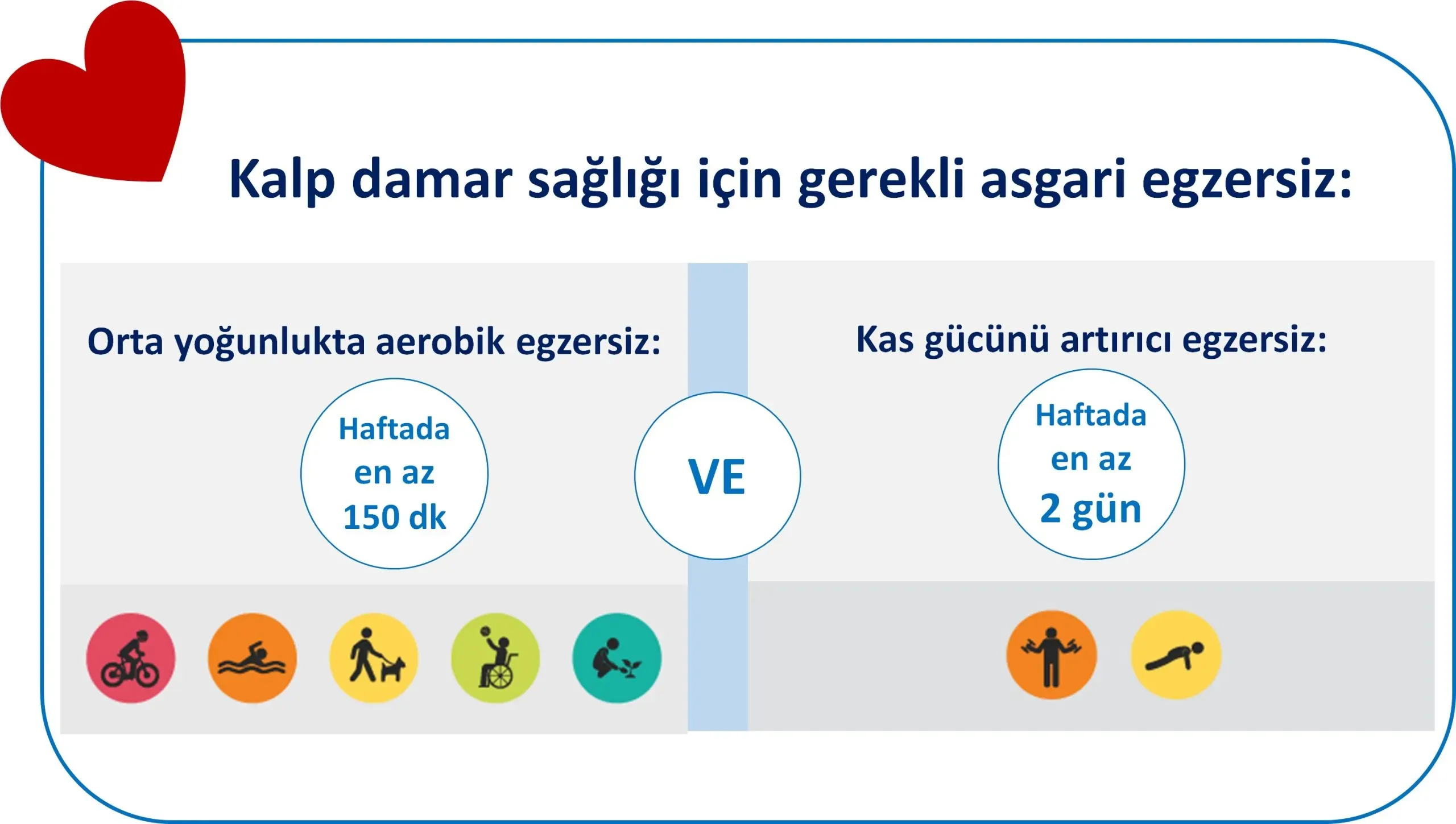 Kalp Sağlığı İçin En Etkili Egzersizler: Aktivite En İyisi