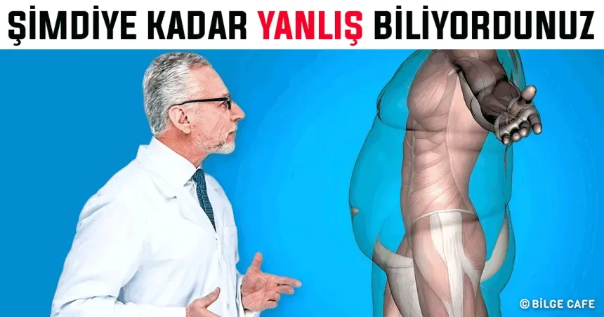 Saglikta Yanlis Bilinenler: Sik Yapilan 12 Bilgi Dogrular