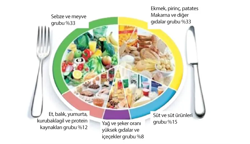Saglik Icin Beslenme Rehberi: En Iyi 7 Gida ve Nedenleri