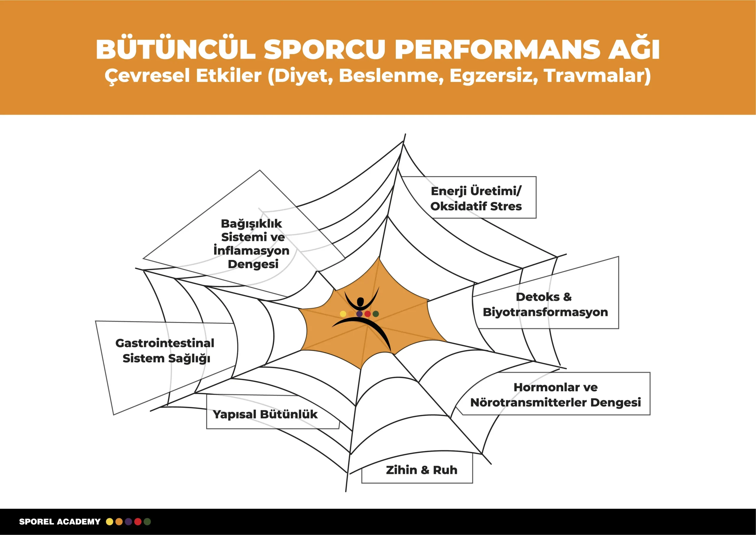 Spor performansına derinlemesine bakış: Antrenman ve beslenme
