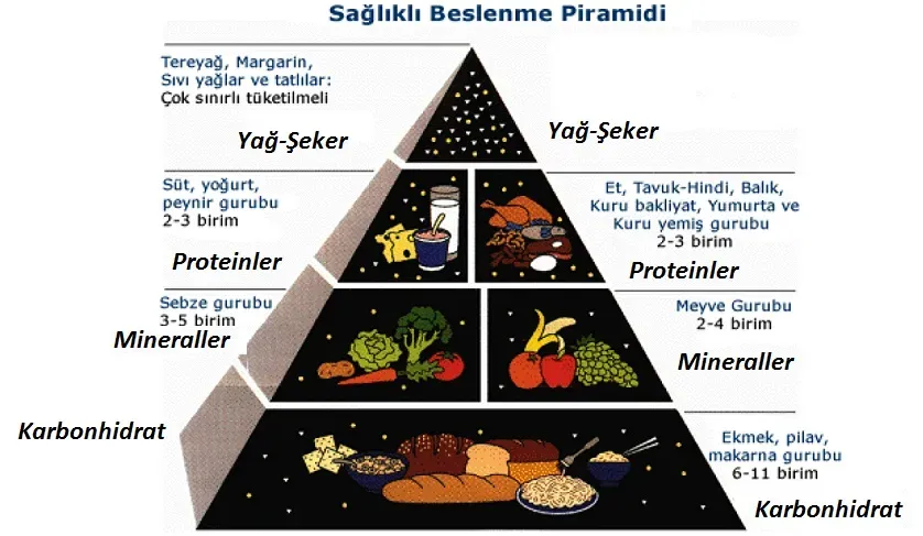 Sağlıklı beslenme planı: Haftalık menü ve porsiyon önerileri