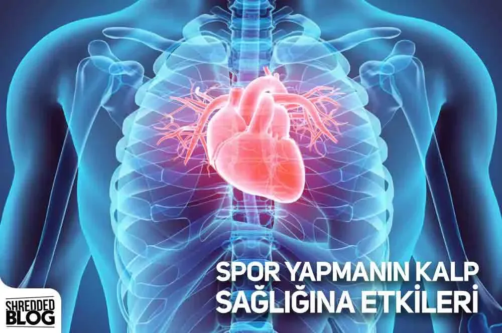 Sporun Diyabet ve Kalp Sağlığı Etkileri: Korunma Yolları