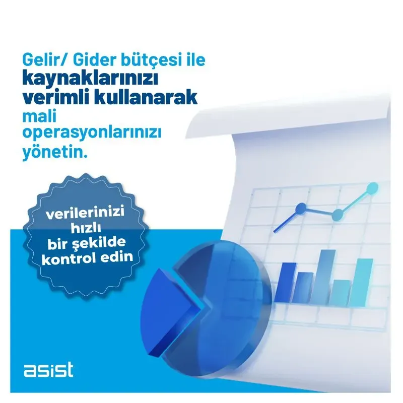 yazılım bütçesi: Etkili yönetim ve maliyet tasarrufu
