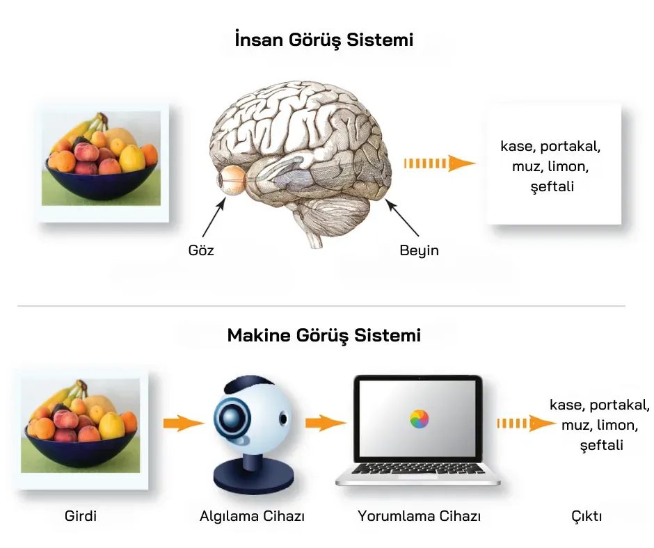 Görüntü İşleme ve Yapay Zeka: Görsellerden Derin İçgörüler