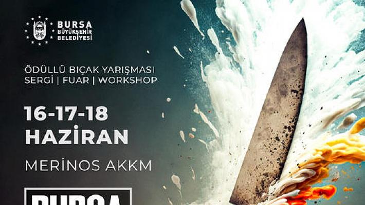 Kültürel Festival Ve Etkinlikler Takvimi