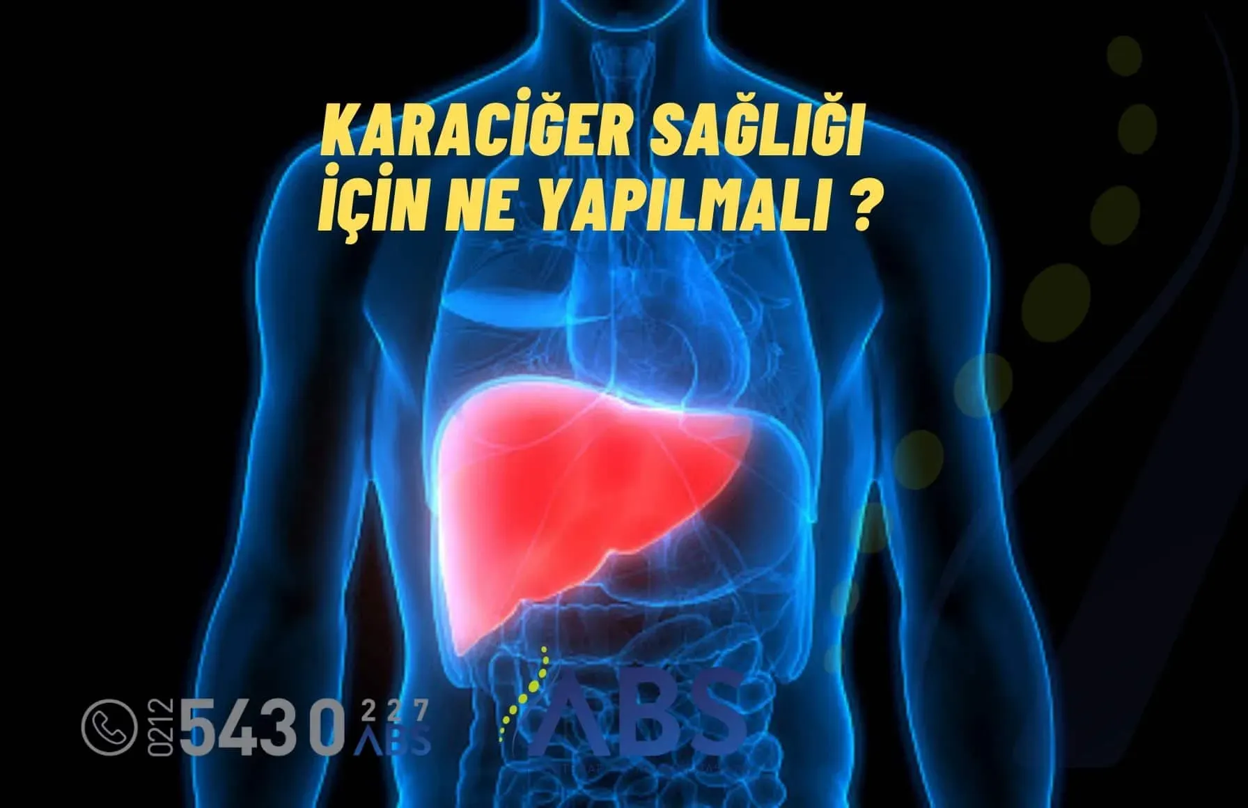 Karaciğer Sağlığı İçin Zararlı Olan 3 Besin