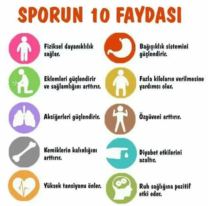 Sporun Faydaları: Sağlık, Enerji ve Zindelik İçin Kanıtlar