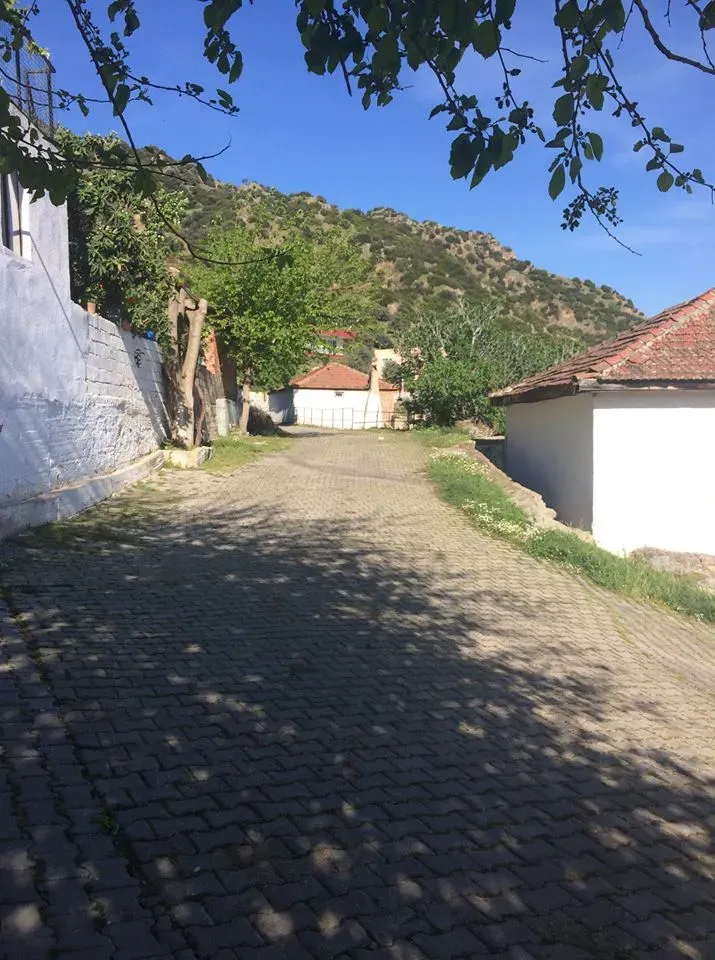 Kurtuluş Köyü: Dört İlin Kesişim Noktası