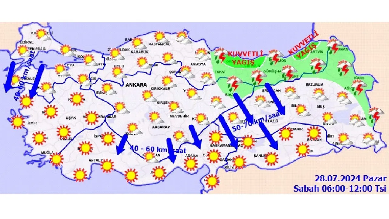 Türkiye'de Sıtma Durumu: Yerli Vakalar Yok