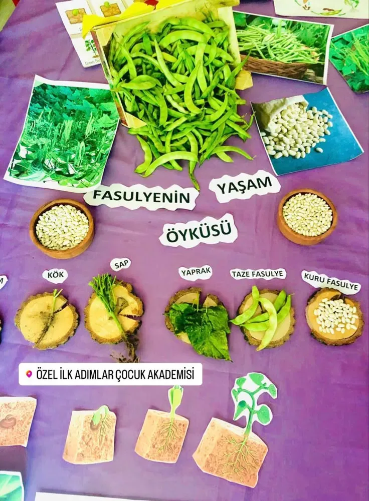 Etiket ile İçerik Yaşam Döngüsü: Planlama ve Yayınlama