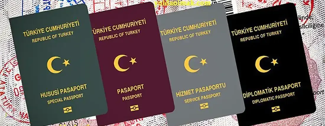 Seyahat vize ve pasaport rehberi: Adım adım süreçler