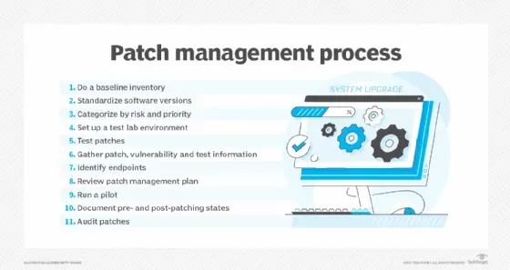 Timely Software Patches: Security Benefits Unveiled